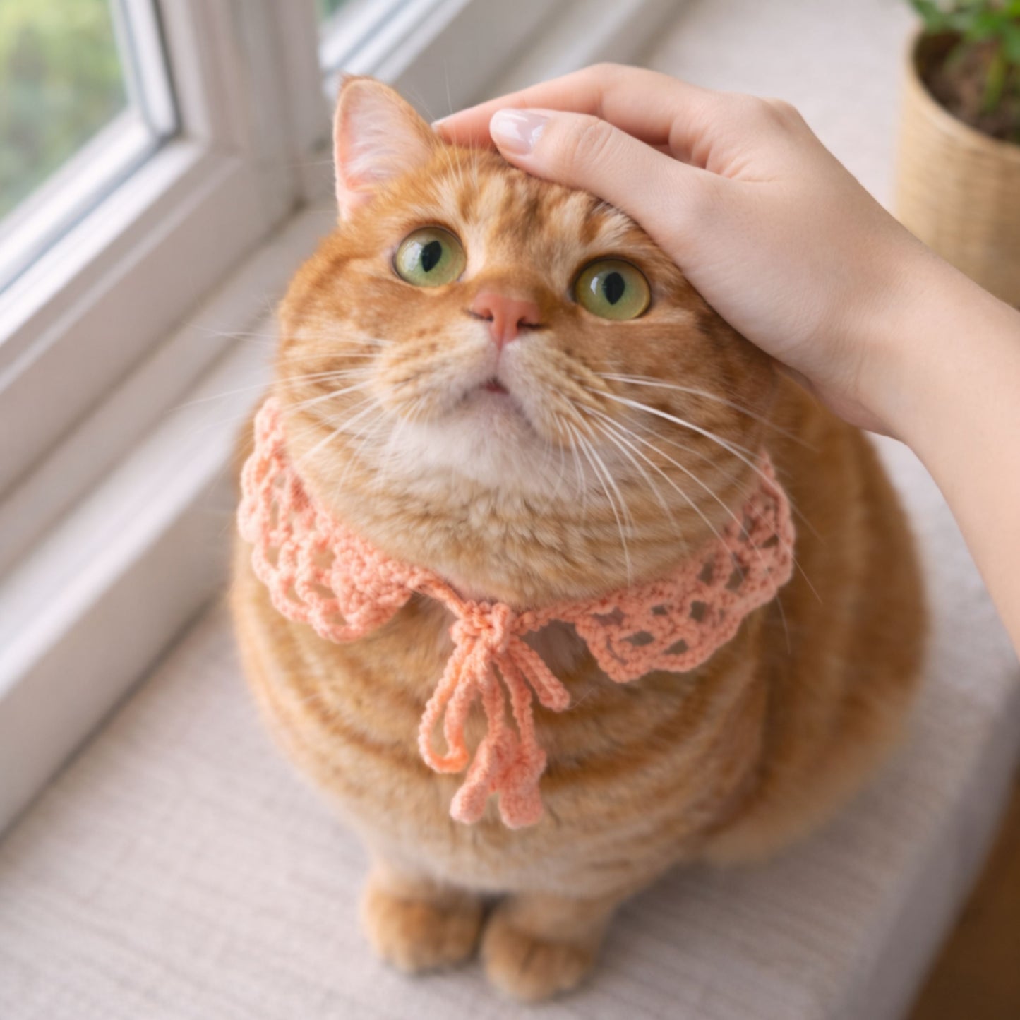 Lace Cat Collar Pattern