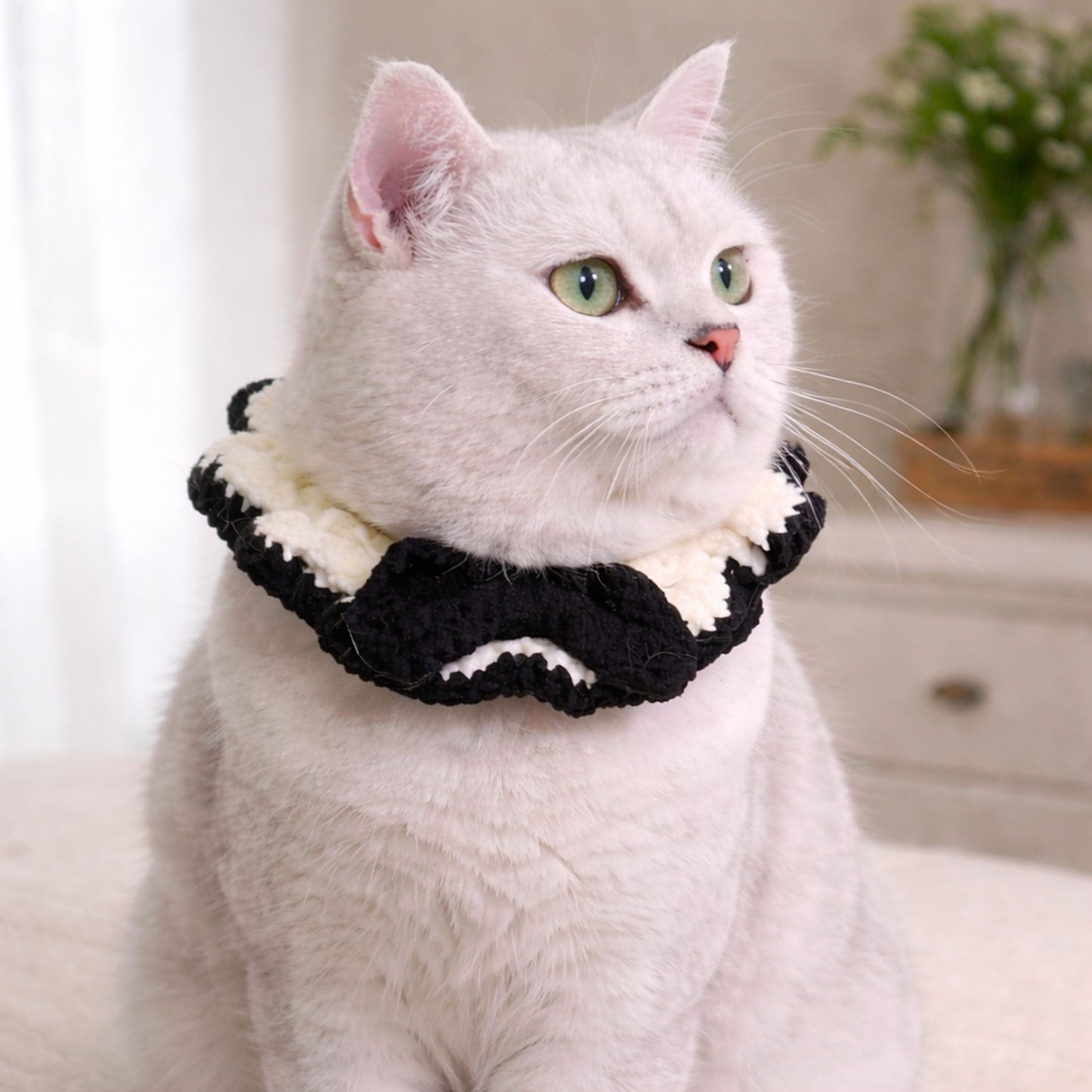 Ruffle Cat Collar Pattern