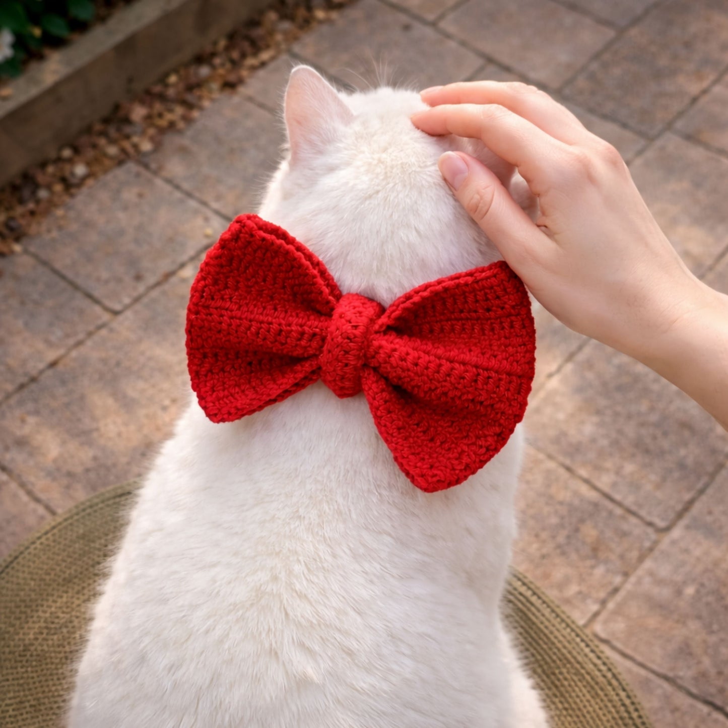 Bow Cat Collar Pattern