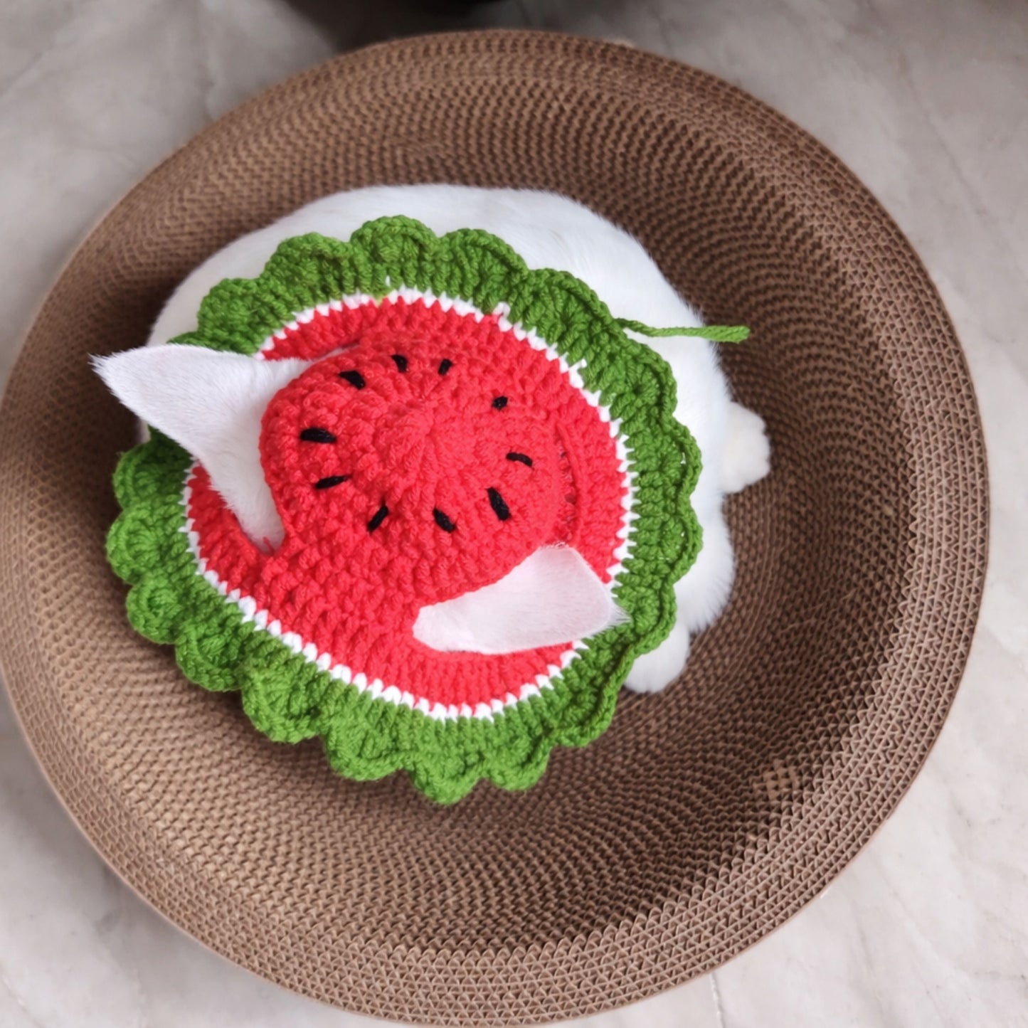Watermelon Cat Hat Pattern