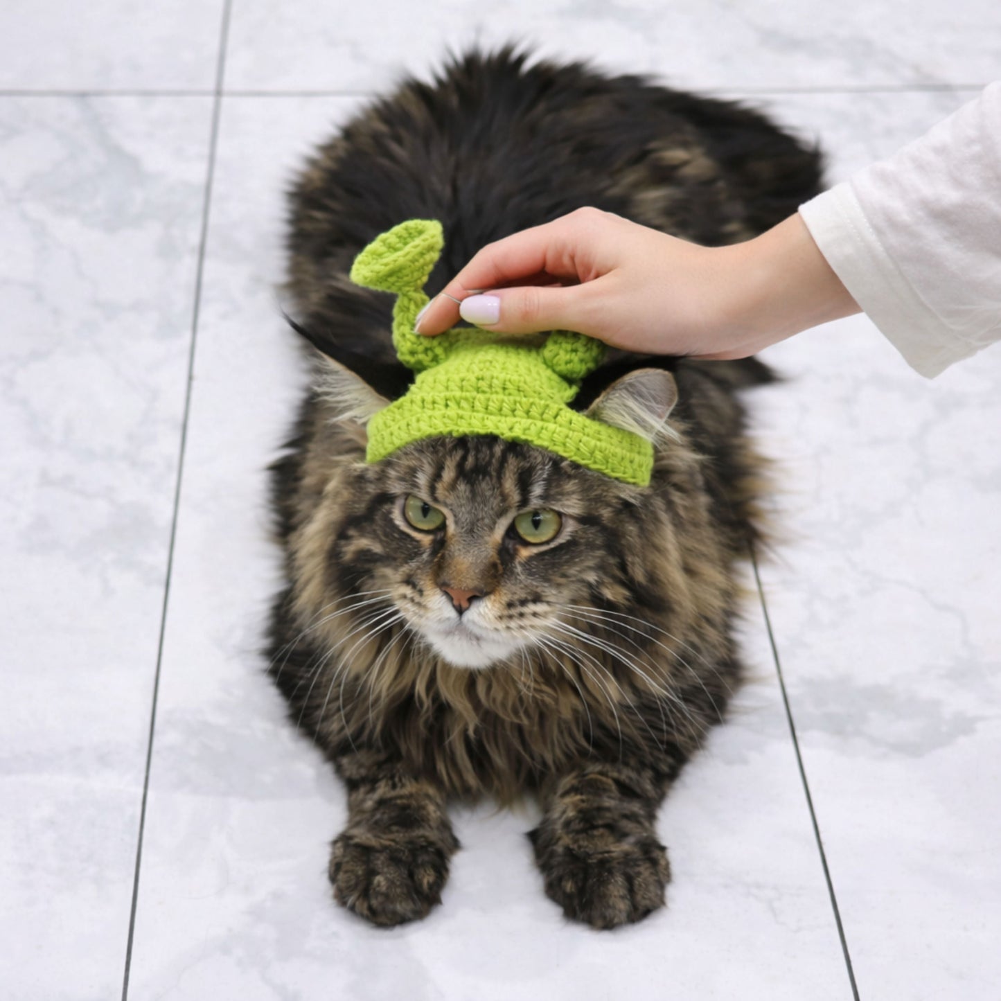 Alien Cat Hat Pattern