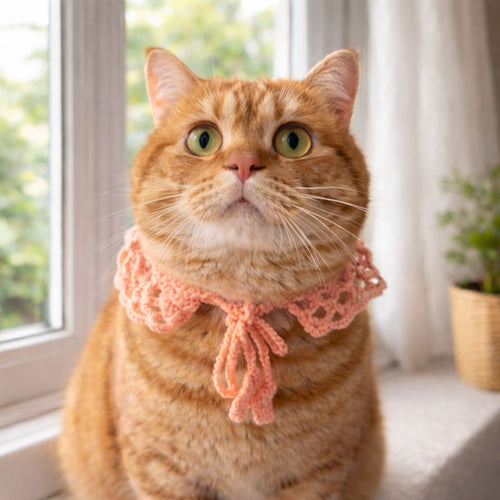 Lace Cat Collar Pattern