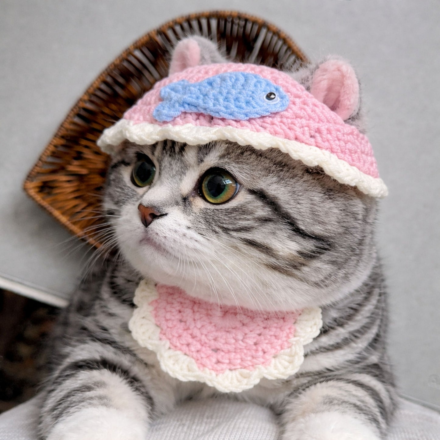 Fish Cat Hat Pattern