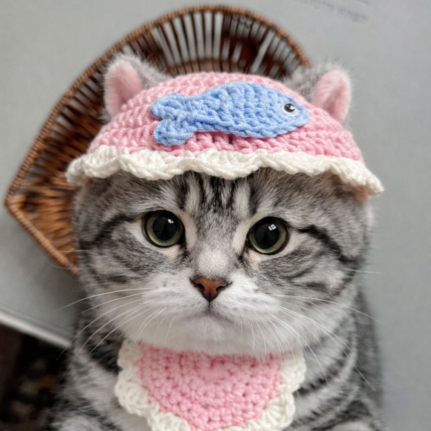 Fish Cat Hat Pattern