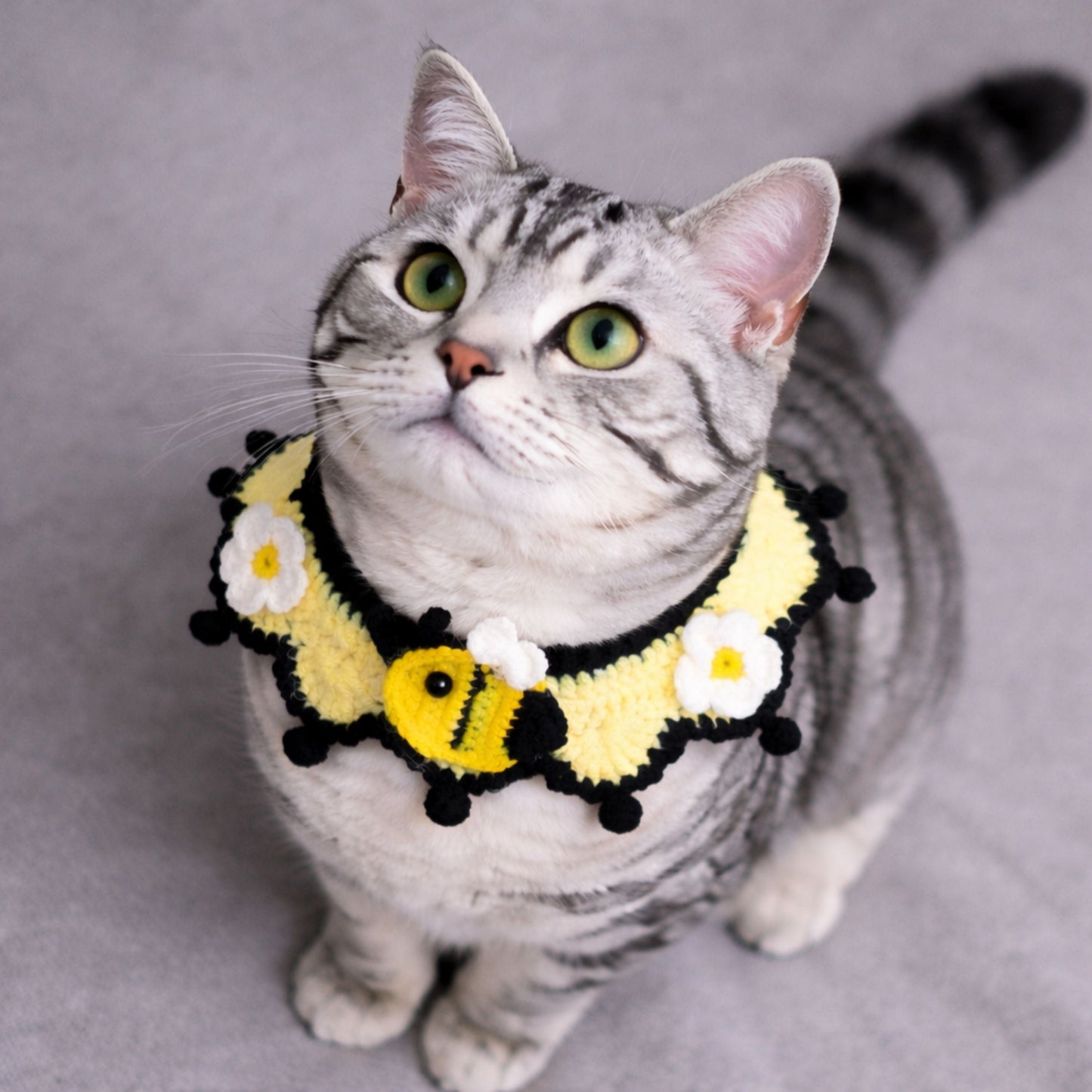 Bee Cat Collar Pattern