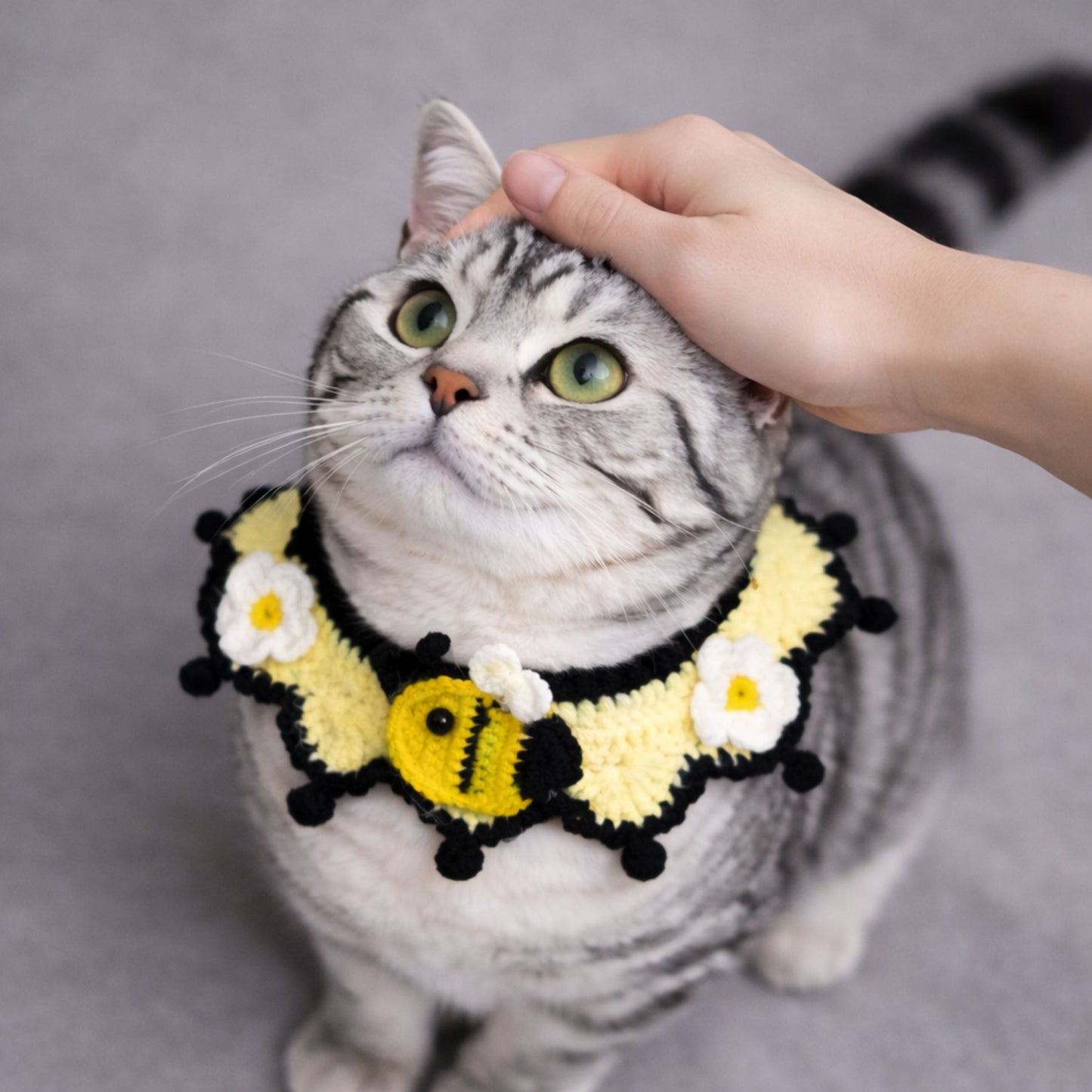 Bee Cat Collar Pattern