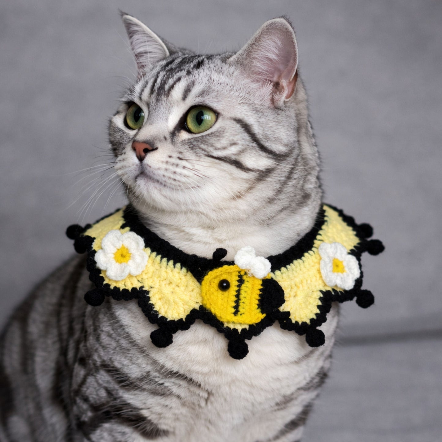 Bee Cat Collar Pattern