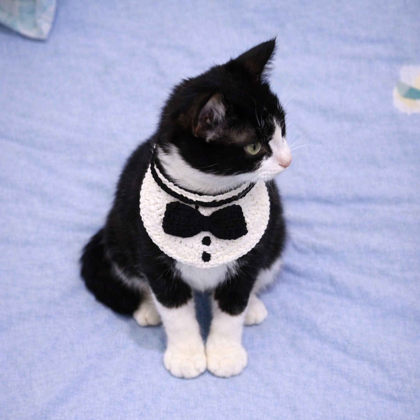 Tuxedo Cat Collar Pattern