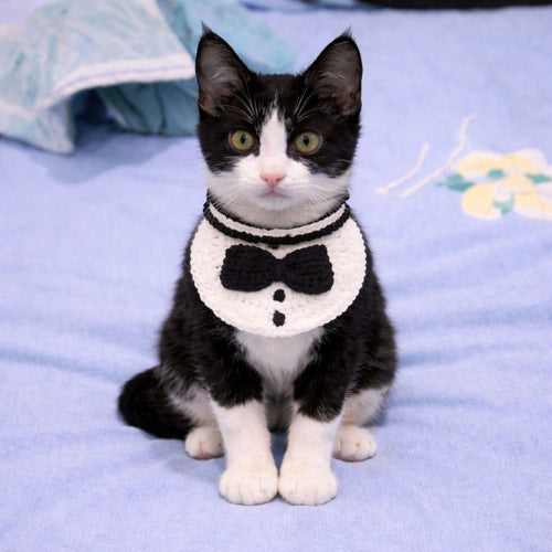 Tuxedo Cat Collar Pattern