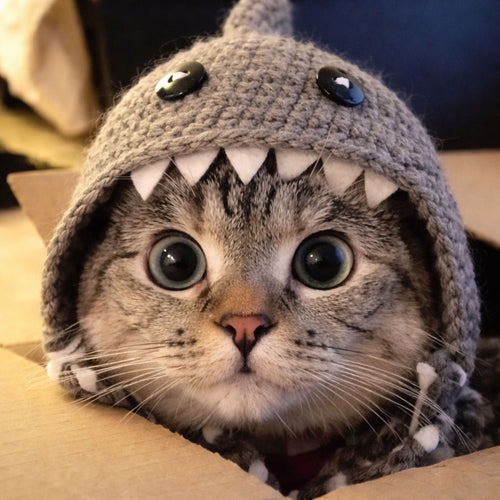 Shark Cat Hat Pattern
