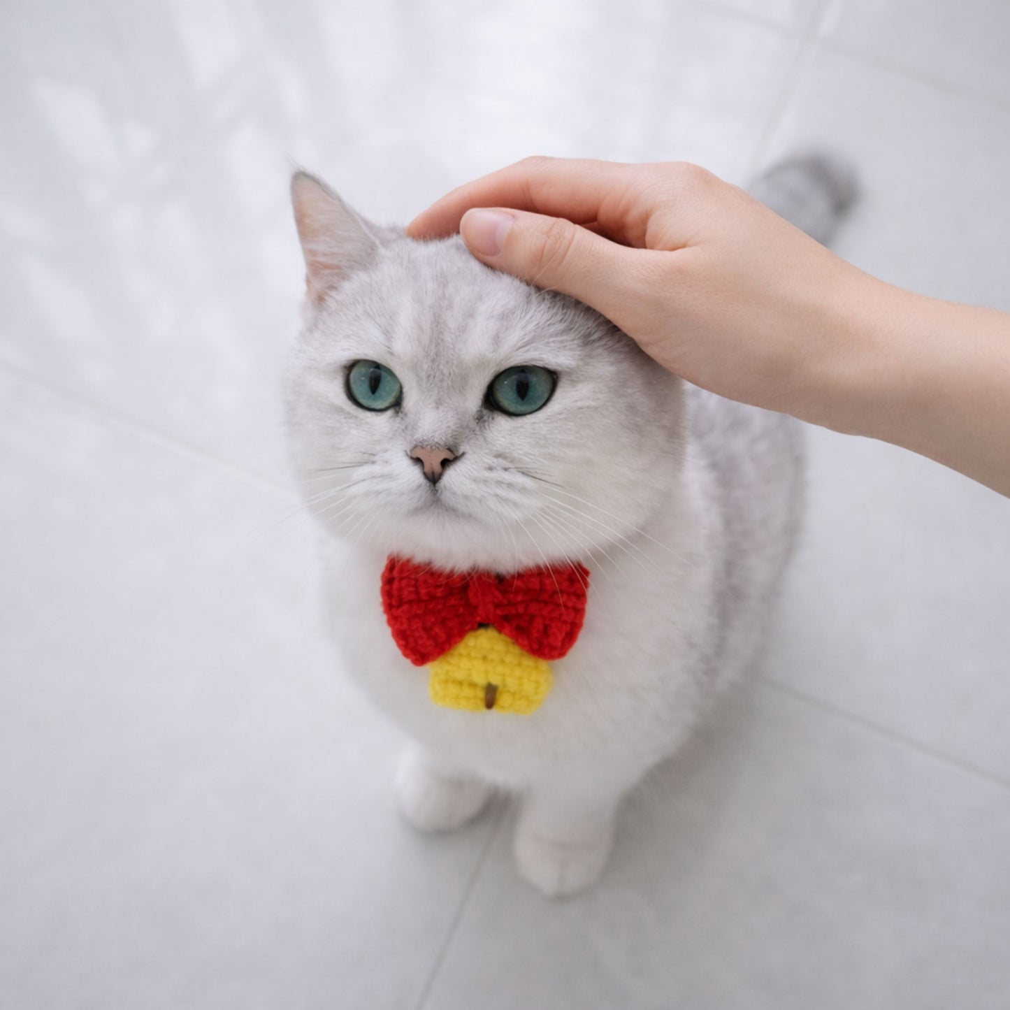 Bow Tie Collar Pattern
