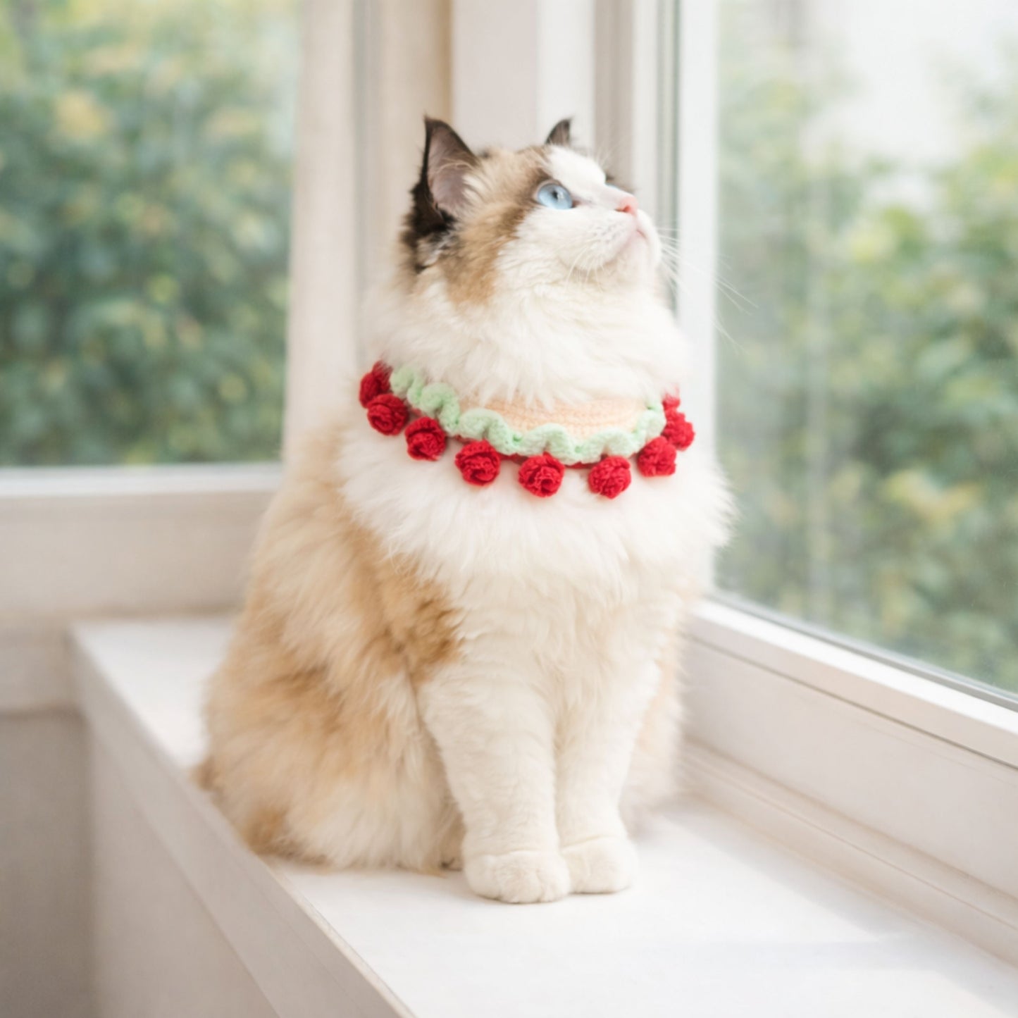 Flower Cat Collar Pattern