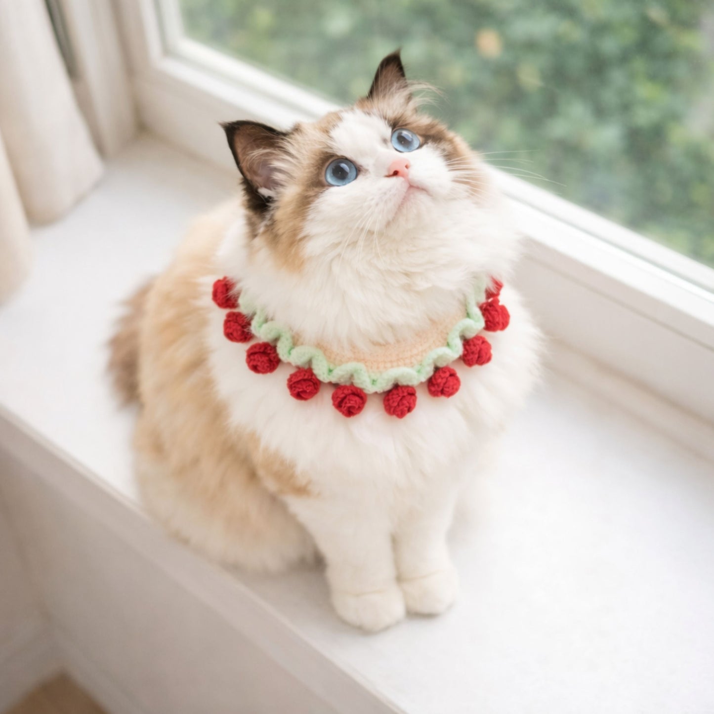 Flower Cat Collar Pattern