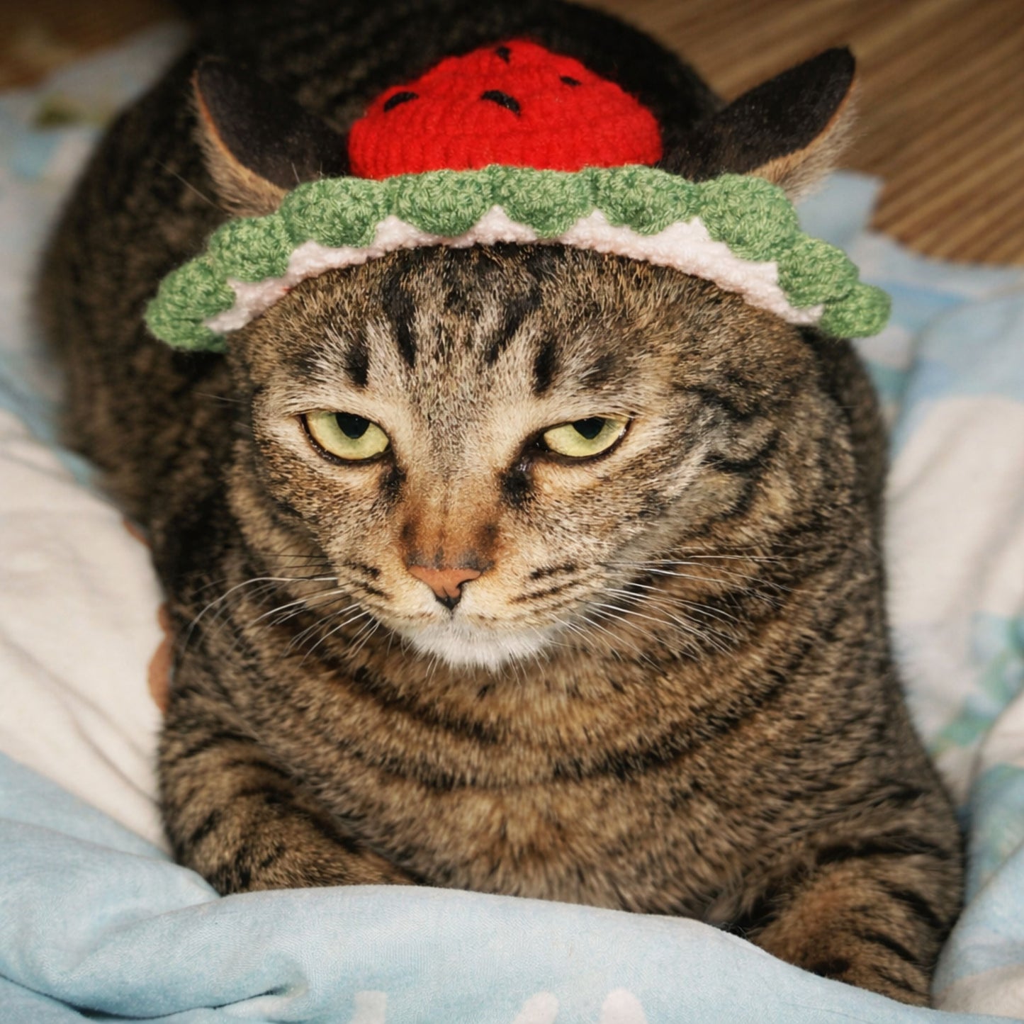 Watermelon Cat Hat Pattern