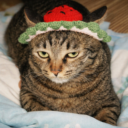 Watermelon Cat Hat Pattern