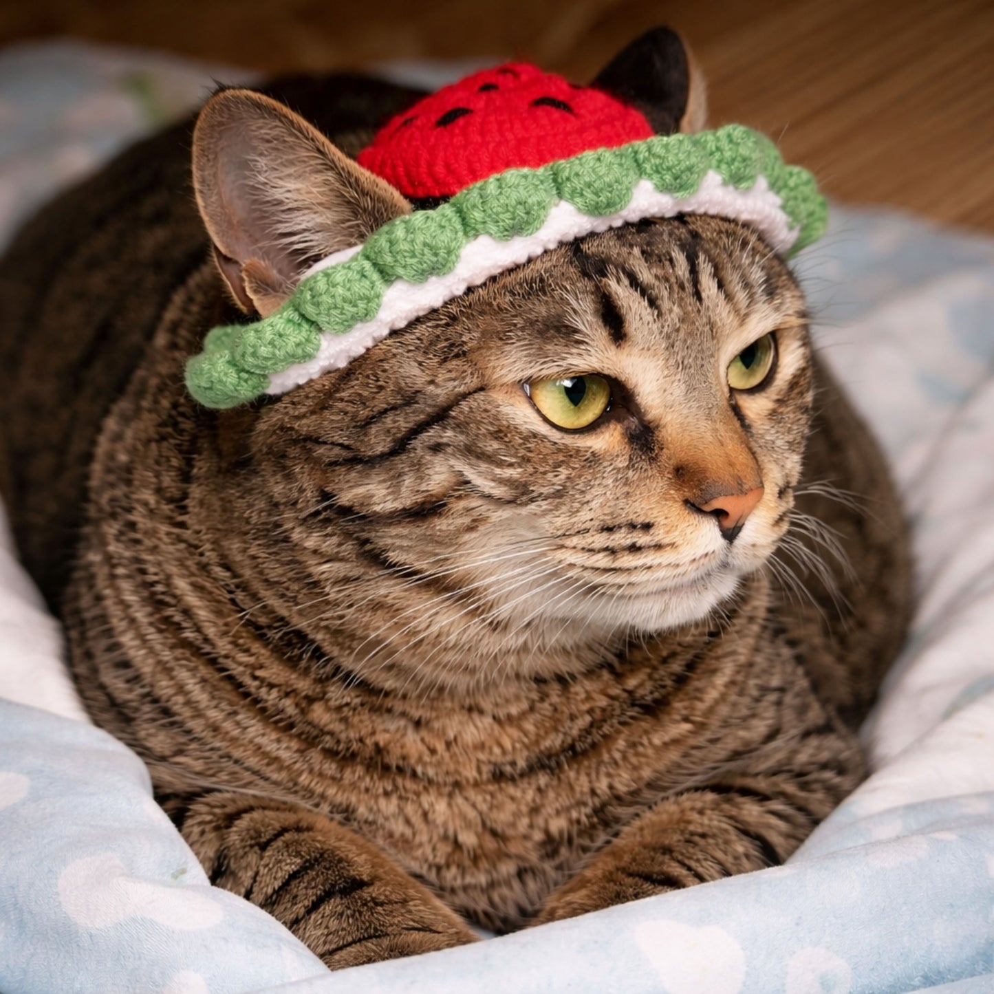 Watermelon Cat Hat Pattern