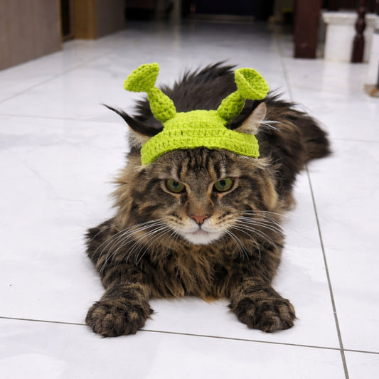 Alien Cat Hat Pattern