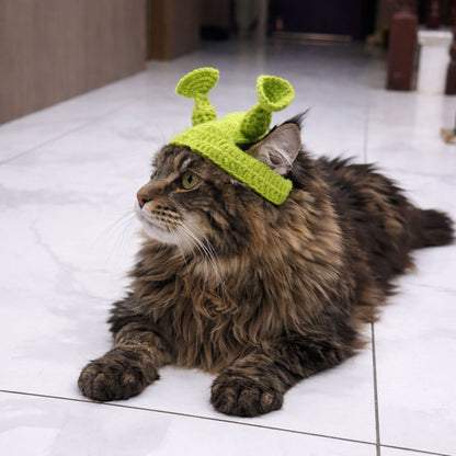 Alien Cat Hat Pattern