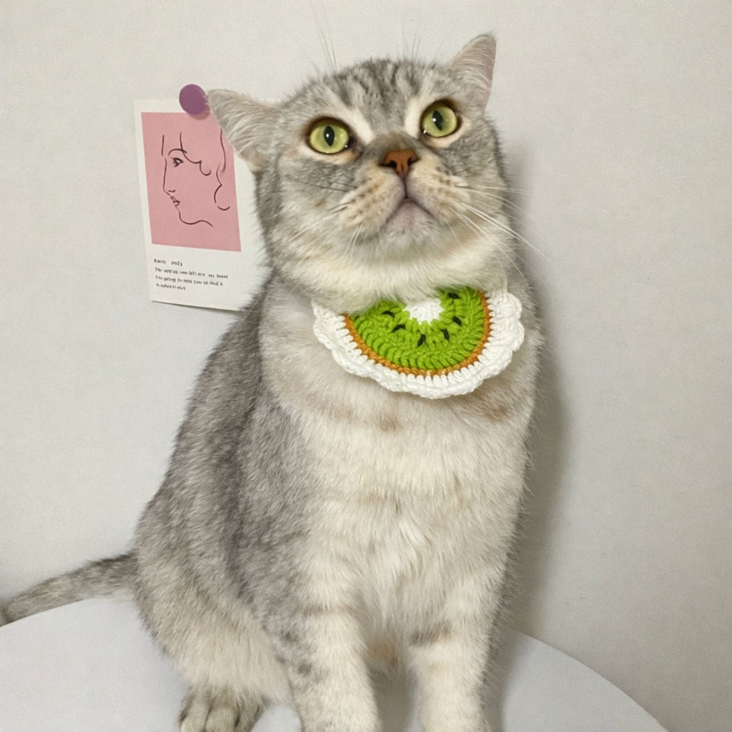 Kiwi Cat Collar Pattern
