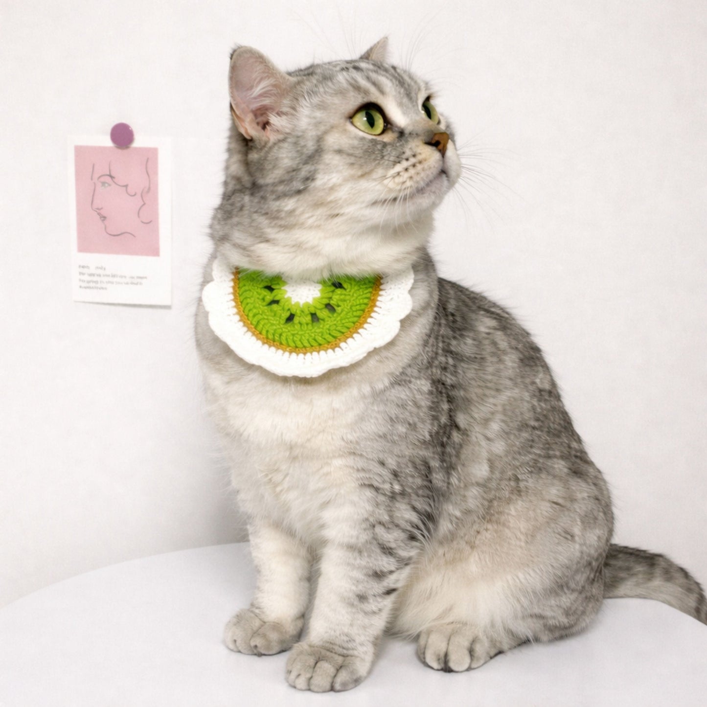 Kiwi Cat Collar Pattern