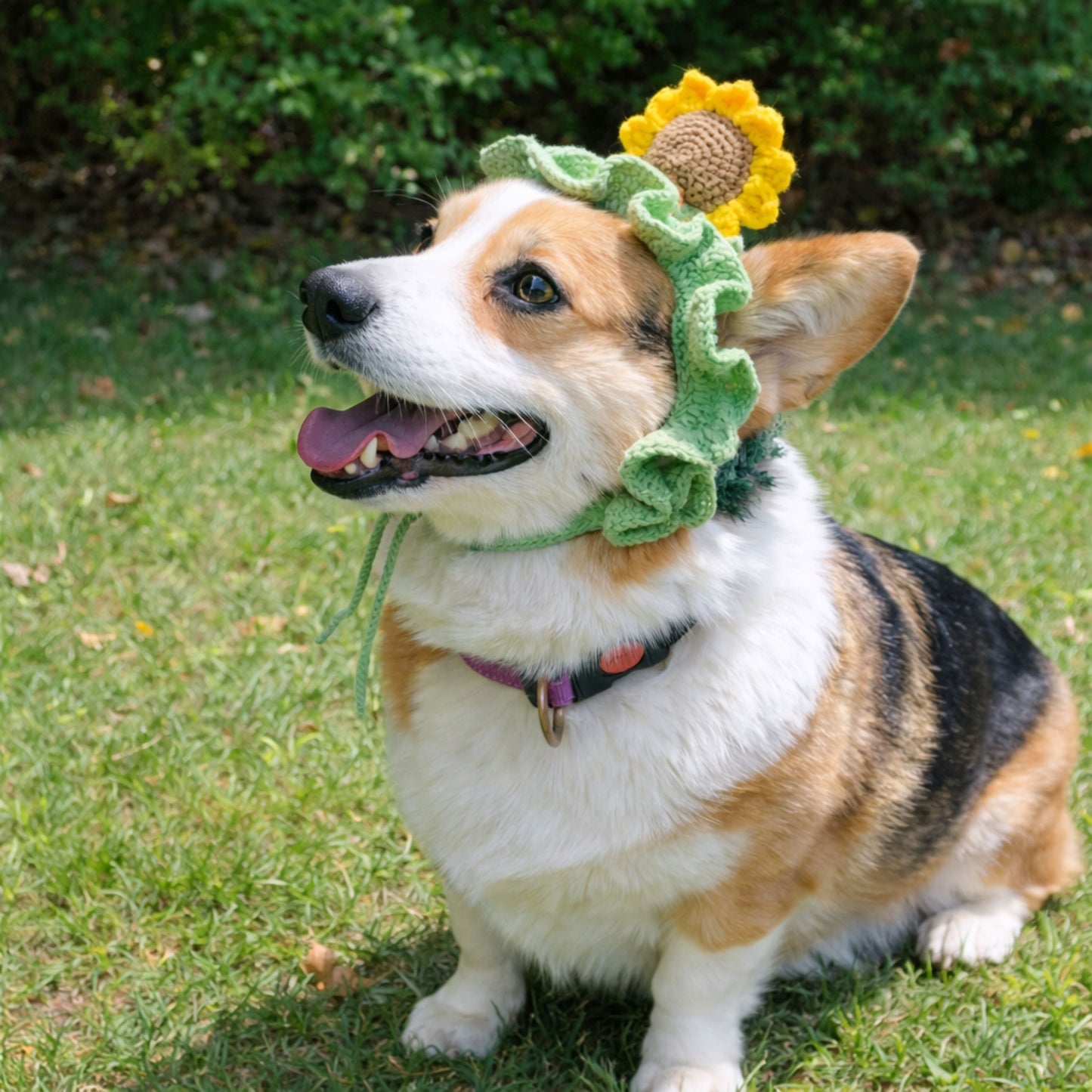 Sunflower Corgi Hat Pattern