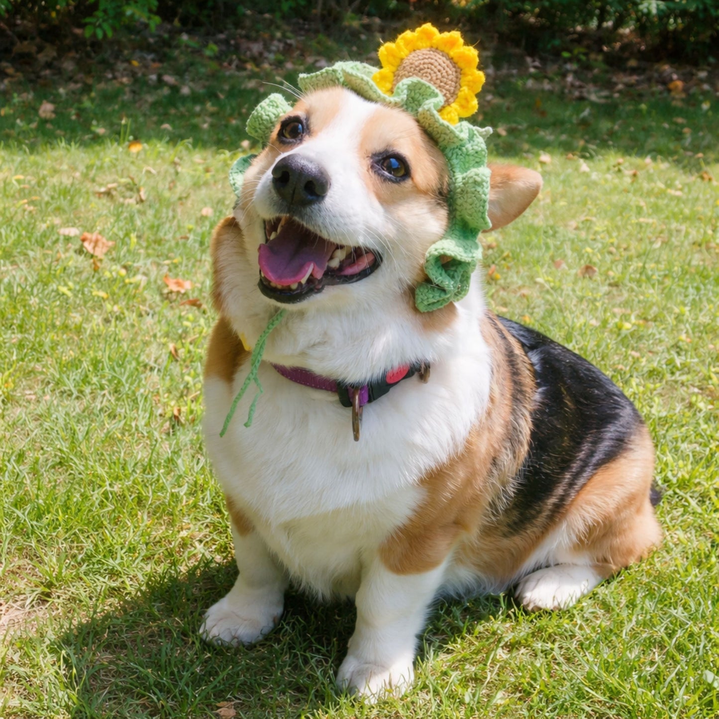 Sunflower Corgi Hat Pattern