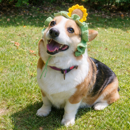 Sunflower Corgi Hat Pattern