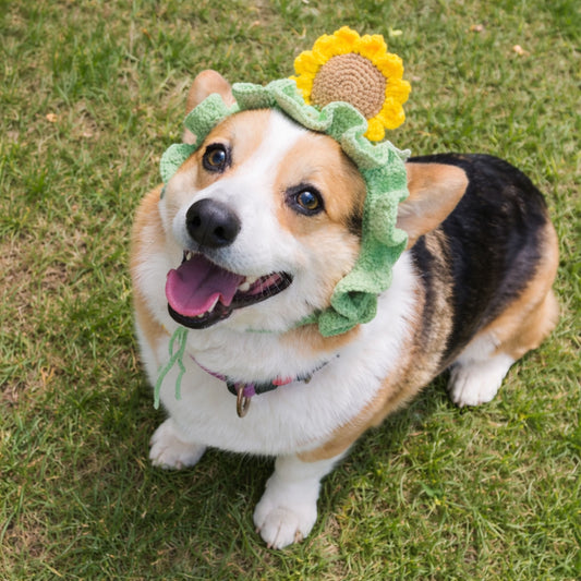 Sunflower Corgi Hat Pattern