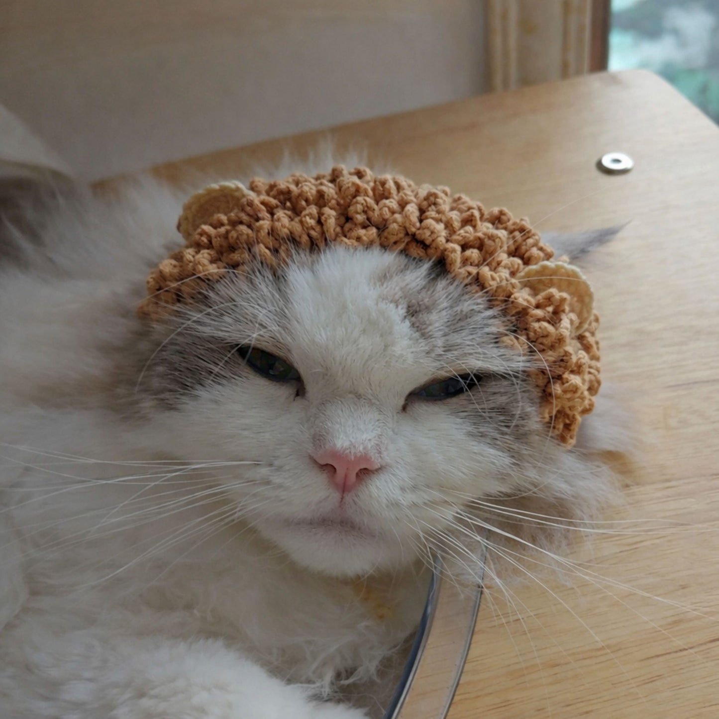 Lion Cat Headband Pattern