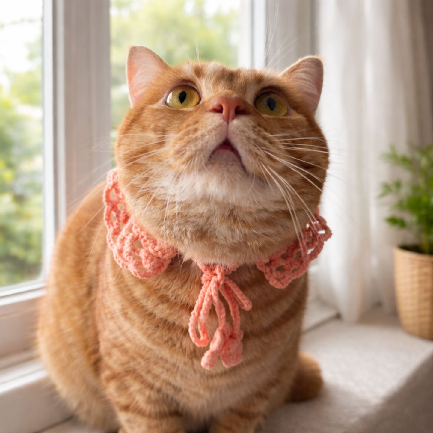 Lace Cat Collar Pattern
